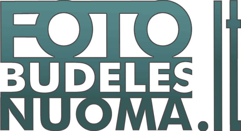 fotobudelesnuoma-logo